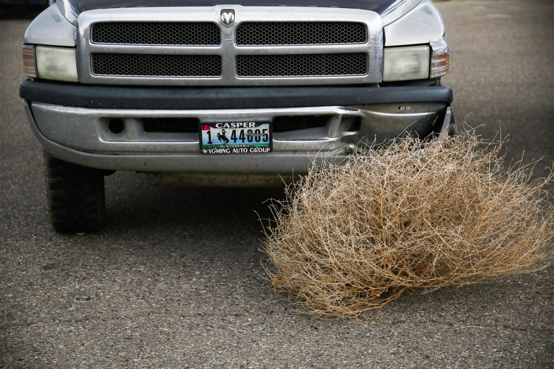 You've cleaned tumbleweeds out of your yard